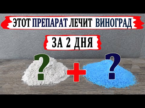 Видео: 🍇 Этот ФУНГИЦИД  ВЫЛЕЧИТ Ваш ВИНОГРАД за двое суток. Как правильно изготовить бордоскую жидкость.