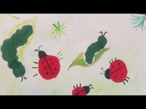 Видео: Рисуем божьих коровок