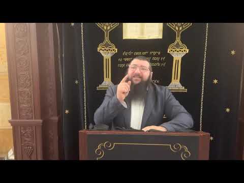 Видео: раввин Фишел Чичельницкий, Недельная глава Ноах 5786 г