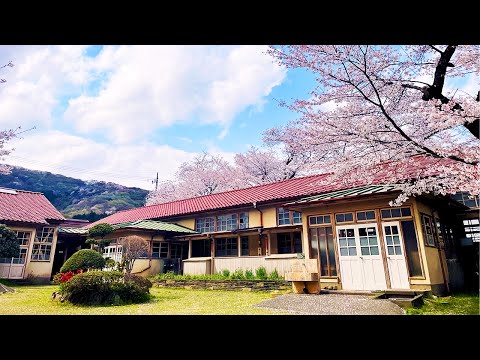 Видео: Насладитесь школьным обедом в реальных местах из аниме「Non Non Biyori」🏫🌸｜Shimozato Branch School