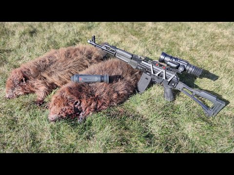 Видео: Как охота на бобра с Сайга МК превратилась в охоту на волка! Тестируем RedRay Romul 319!
