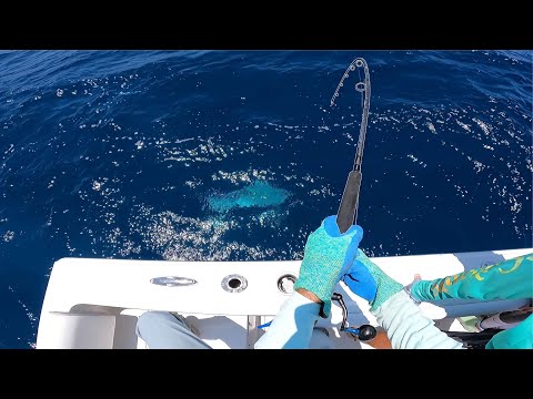 Видео: УДИВЛЕН, КАК Я ПОПАЛ ЭТУ БОЛЬШУЮ РЫБУ! Морская джиггинговая и донная рыбалка