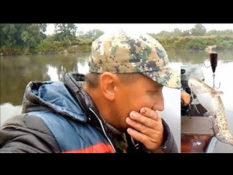 Видео: Сом ломает катушку и рвёт плетёнку.Ловля сома на реке Припять.