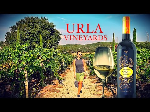 Видео: ВИНОГРАДНИКИ УРЛЫ 🍷🍇 Винодельня Шарапчилык (Urla Şarapçılık) 🕌 Старый Город🗝️