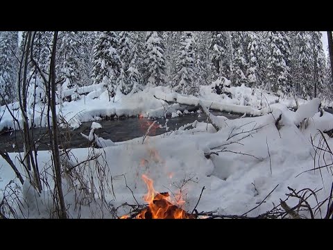 Видео: 80 дней в тайге. Пушной промысел. Видеодневник. Часть 9