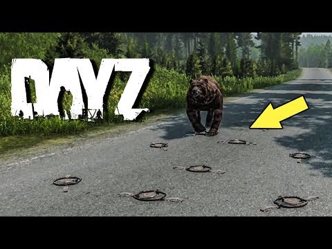Видео: DAYZ.ЧТО БУДЕТ ЕСЛИ МЕДВЕДЬ ПОПАДЕТ В КАПКАН? ЭКСПЕРИМЕНТЫ В DAYZ.LIVONIA PATCH 1.06