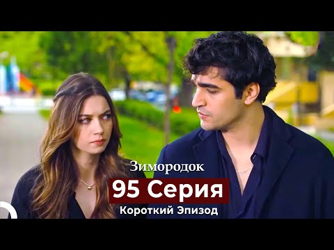 Видео: Зимородок 95 Cерия (Короткий Эпизод) (Русский дубляж)