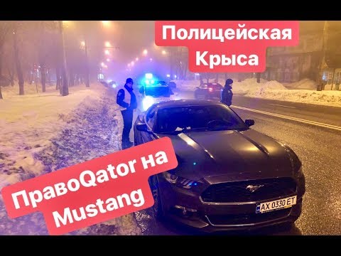 Видео: ПравоQator на Mustang и Полицейская крыса