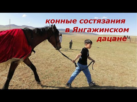 Видео: #родео#скачки#Хурамша#Янгажинскийдацан#Бурятия#