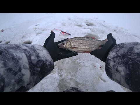 Видео: Крупная Плотва по перволедью