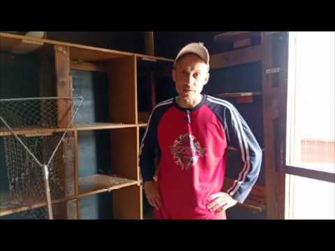 Видео: Парую белых пермских голубей. Минусы высокой голубятни. Голубка голуба не принимает.Пермские гривуны