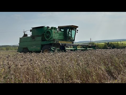 Видео: Уборочная семян фацелии.