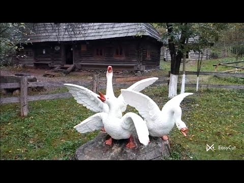 Видео: Ну,  а  Зараз  дід Панас  Покаже  ,,Казочку"  для  Вас  !!!