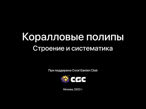 Видео: Коралловые полипы: строение и систематика