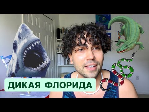 Видео: Осторожно! ДИКИЕ ЖИВОТНЫЕ Флориды Кого бояться во Флориде опасная живность Дикая Флорида