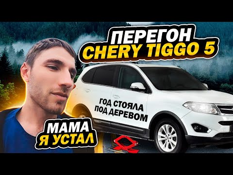 Видео: Посоветуйте психиатра хорошего) Перегон Черри Тиго 5