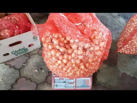 Видео: Лук севок на выгонку пера.