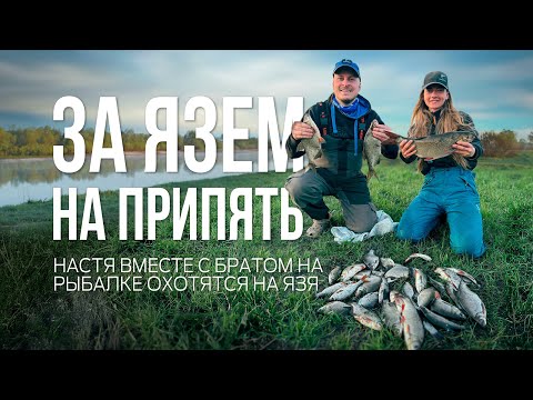 Видео: Ловля язя на горох. Фидерная рыбалка на Припяти