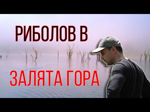 Видео: Риболов на шаран: Залятата гора (2023)