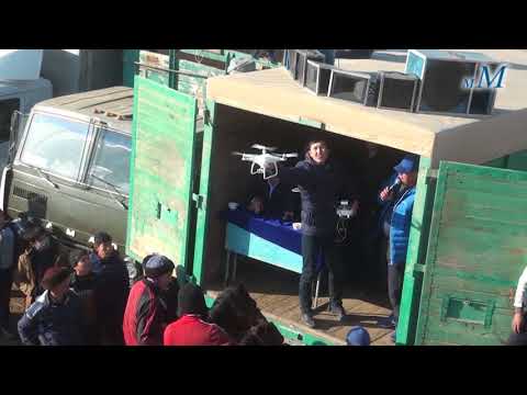 Видео: КОКПАР Шардара ауданы Калгансыр 18 11 2017 Ч2