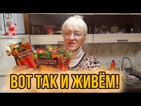 Видео: Жизнь в селе. Покупки с Озона.Посадила лук и выбрала чеснок. Ужин.