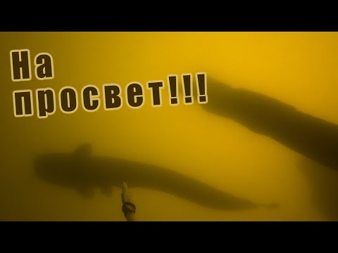 Видео: ПОИСК УТОПЛЕННОГО МОТОРА!!! СТАИ СУДАКА И СОМ НА ПРОСВЕТ!!!