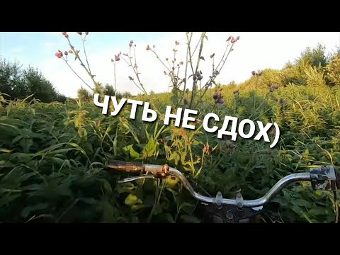 Видео: СДЕЛАЛ КОРОБКУ И МИНСК ПОВАЛИЛ! АДСКИЕ ПОКАТУШКИ НА МОТОЦИКЛЕ МИНСК!