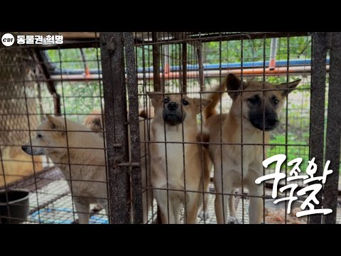 Видео: Структура и структура