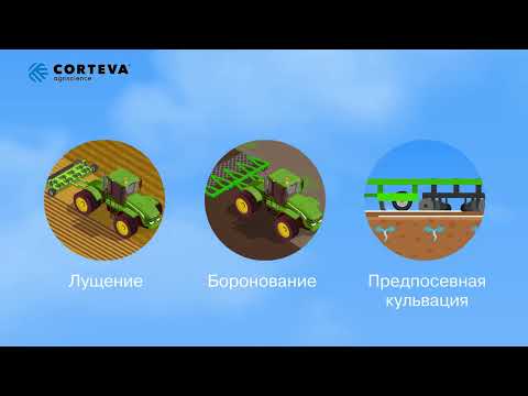 Видео: Сроки, глубина, и густота посева Кукурузы.