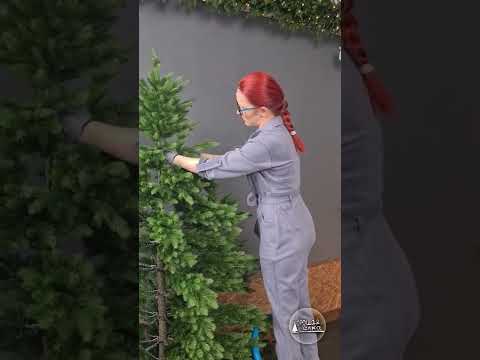 Видео: Как красиво расправить ёлку  Сириус на видео высота 2.3м