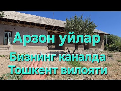 Видео: АРЗОН УЙ ЖОЙ СОТИЛАДИ ТОШКЕНТ ВИЛОЯТИ 