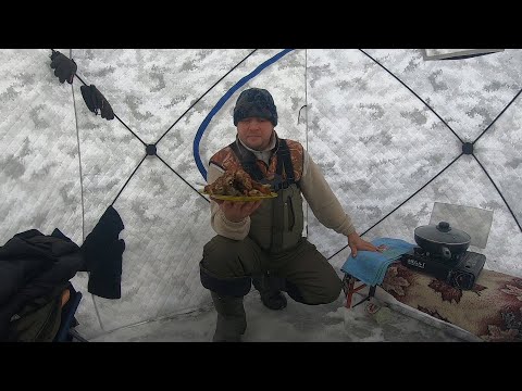 Видео: Отжарили Ротанов в Палатке/ Рыбалка на Ротана