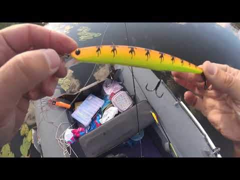 Видео: Воблер Fishycat Junglecat 140SP принес самых крупных чучек) Deps Balisong Minnow 130 самых мелких)