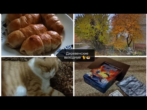 Видео: Влог🌞Ноябрьские праздники 🎊Отдыхаю душой и сердцем с родными💖🐱