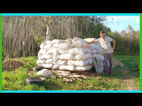 Видео: Деревенские деньки четвертого месяца лета в нашем хозяйстве!