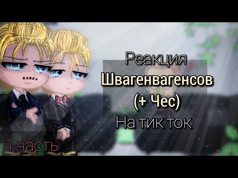 Видео: Реакция Швагенвагенсов (+ Чес) на тик ток// 1/3 часть
