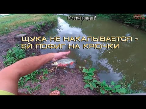 Видео: Ловля голавля и щуки летом на реке Миус спиннингом с берега. 1 сезон выпуск 5