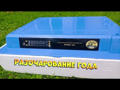 Видео: Купили, чтобы выбросить.  Наш опыт использования инкубатора Ряба-64