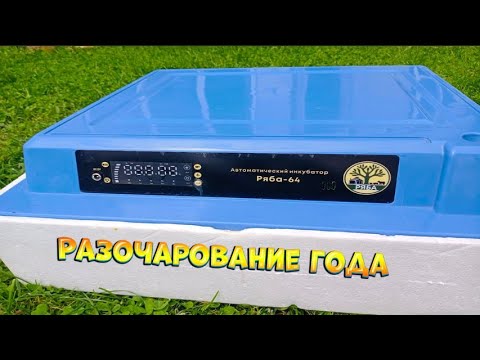 Видео: Купили, чтобы выбросить.  Наш опыт использования инкубатора Ряба-64