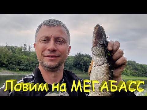 Видео: 🔥 ШЕСТЬ ЩУК против двух воблеров Megabass Oneten Vision 98 и 110. Щука на спиннинг в июне 🔥