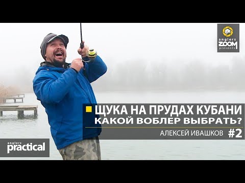 Видео: Щука на прудах Кубани. Какой выбрать воблер? Часть 2. А. Ивашков Anglers Practical