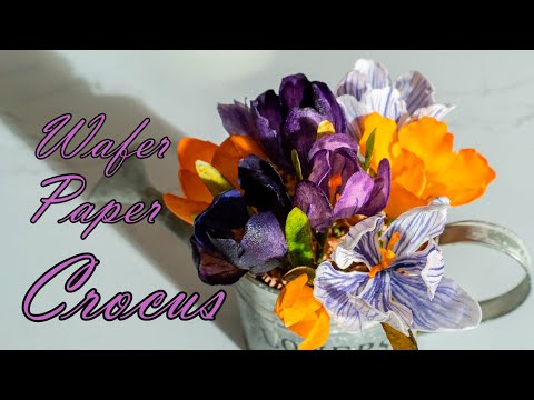 Видео: КРОКУСЫ из вафельной бумаги