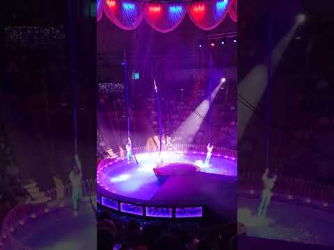 Видео: Кировская область цирк на воде г Тулы часть 2 12.10.2025 год.