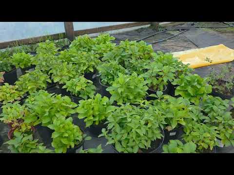 Видео: ВЕРНУЛИСЬ В СТРОЙ. ОБЗОР НА 13.10.2025