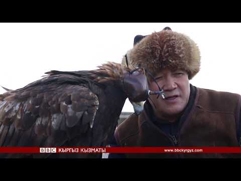 Видео: Салбуурун: кыргыздын "кумайыгы" менен "буудайыгы" - BBC Kyrgyz