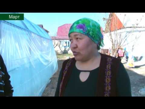 Видео: Мыкты чарба-социалдык куноскана 26 05 16