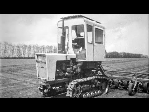 Видео: Технология возделывания сахарной свеклы с применением дражированных семян, 1974