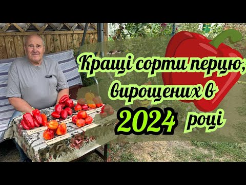 Видео: Кращі сорти перцю вирощених в 2024 році