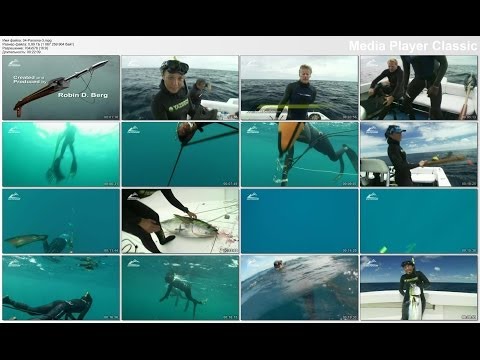 Видео: Подводная охота на тунца часть2 Spearfishing tuna  part2