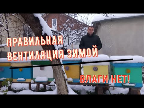 Видео: Правильная вентиляция зимой - Влаги нет!